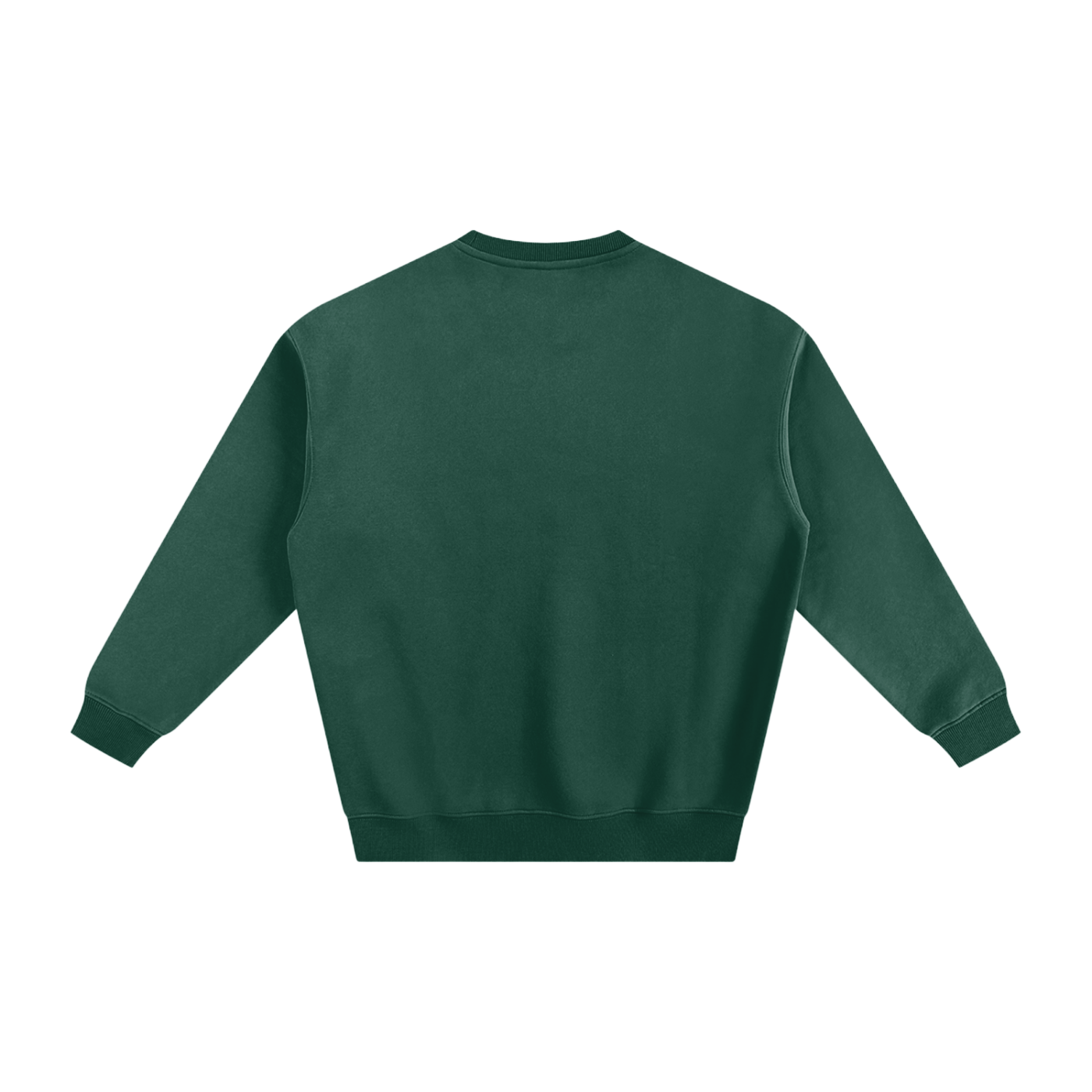 Fleeced Sweatshirt(Isaiah 41:10)